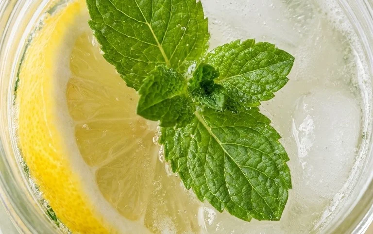 Zitronen-Minze-Limonade
